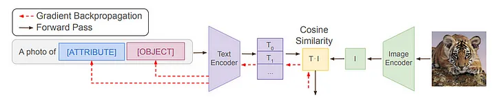 CSP Weight Initialization